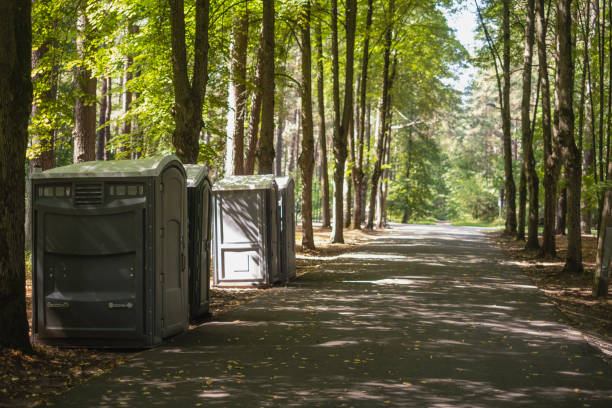 Best High-end porta potty rental  in Big Lake, MN